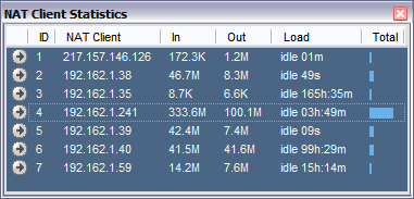 InJoy Firewall - NAT Statistics